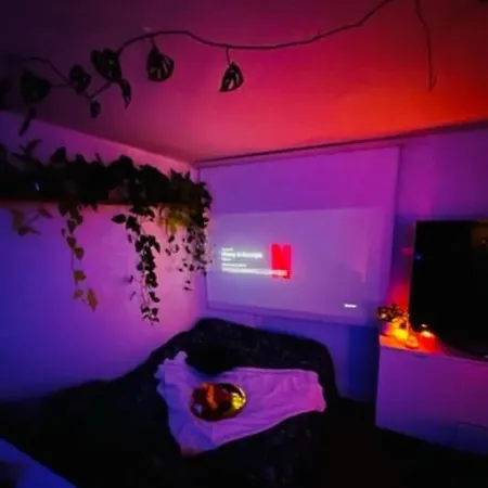 Apartment Studio Cosy Entre Centre-ville Et